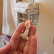 Image for article titled Prediction? Pain: The Week In Unintentional Dong Submissions